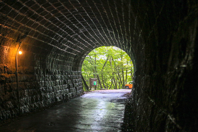 伊豆を代表する名瀑「浄蓮の滝」と苔むす石造りの「旧天城トンネル」