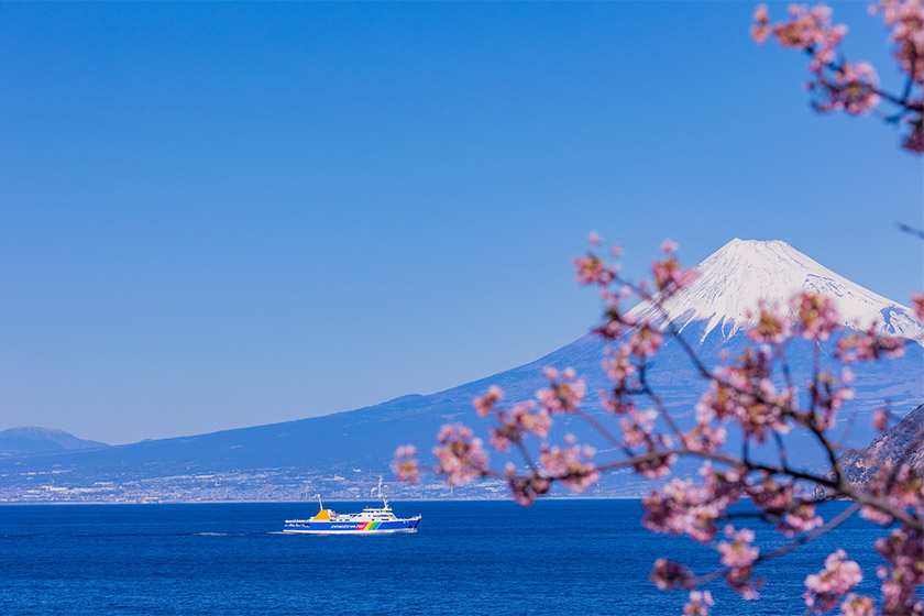 富士山と桜と海！絶景クルーズ