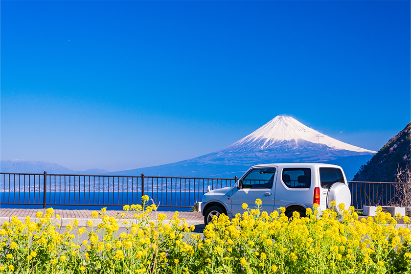 「煌めきの丘」から望む富士山